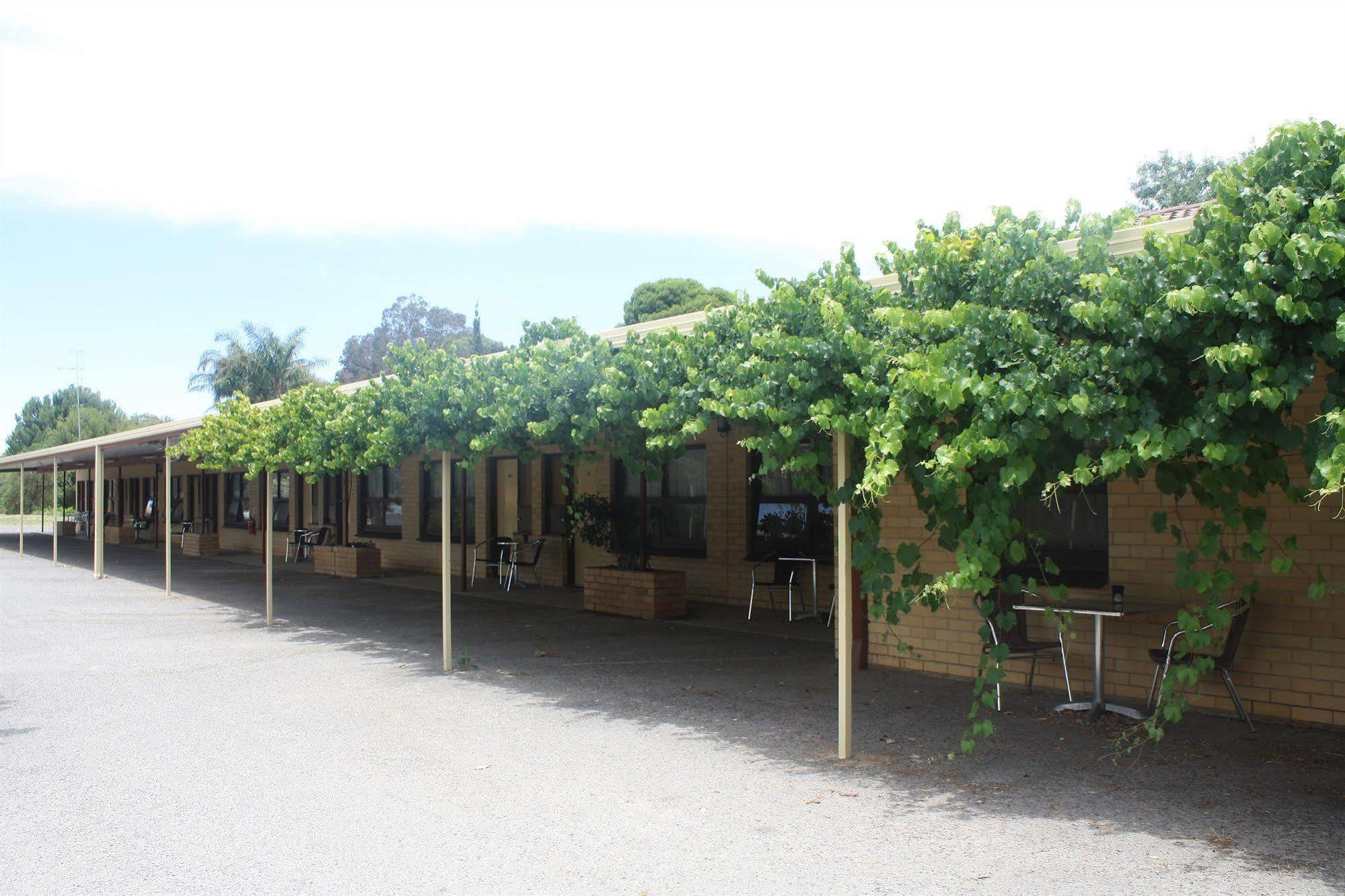 Angaston Vineyards Motel Ngoại thất bức ảnh